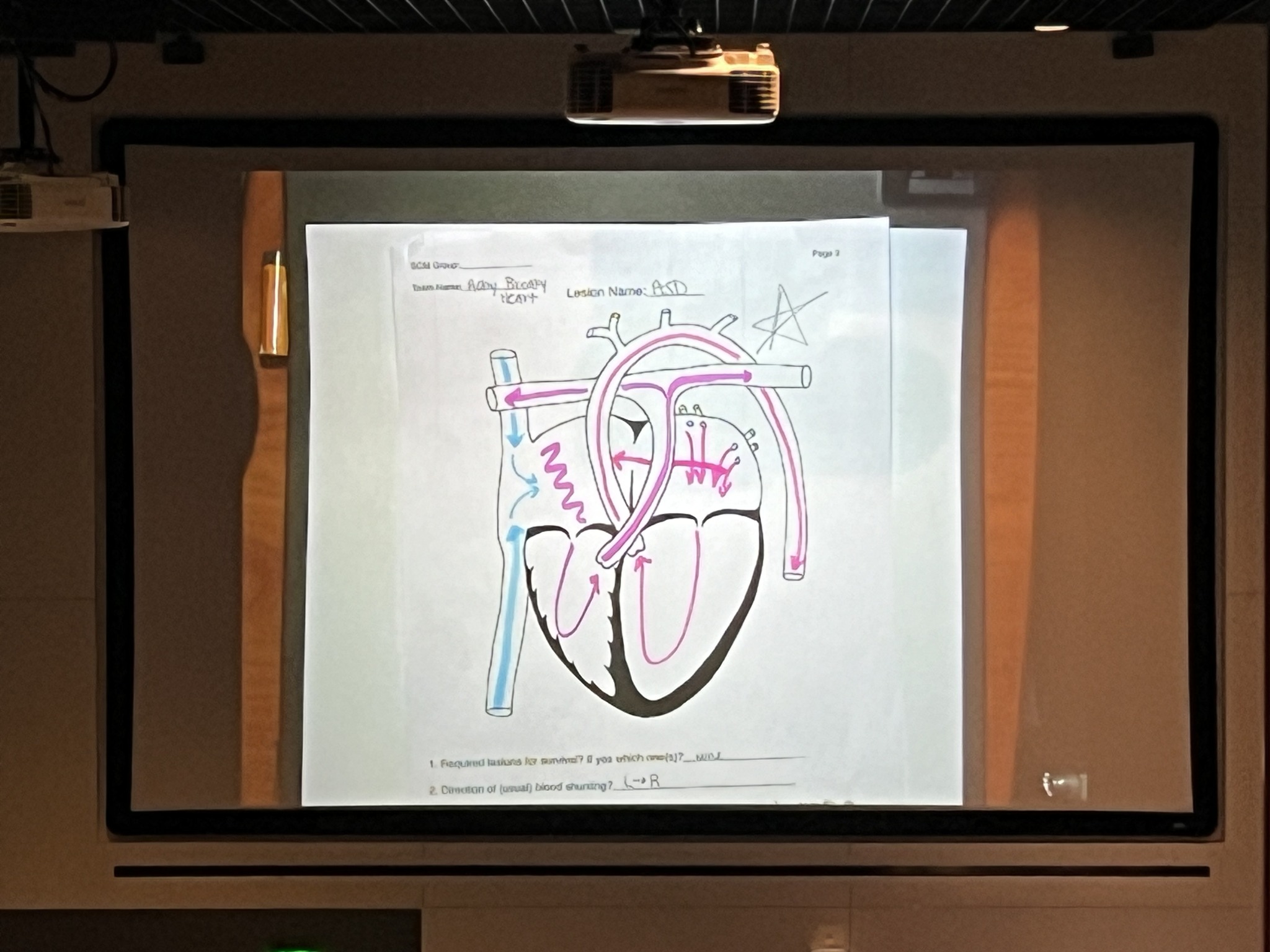 Dr. Greg Carter's heart drawing