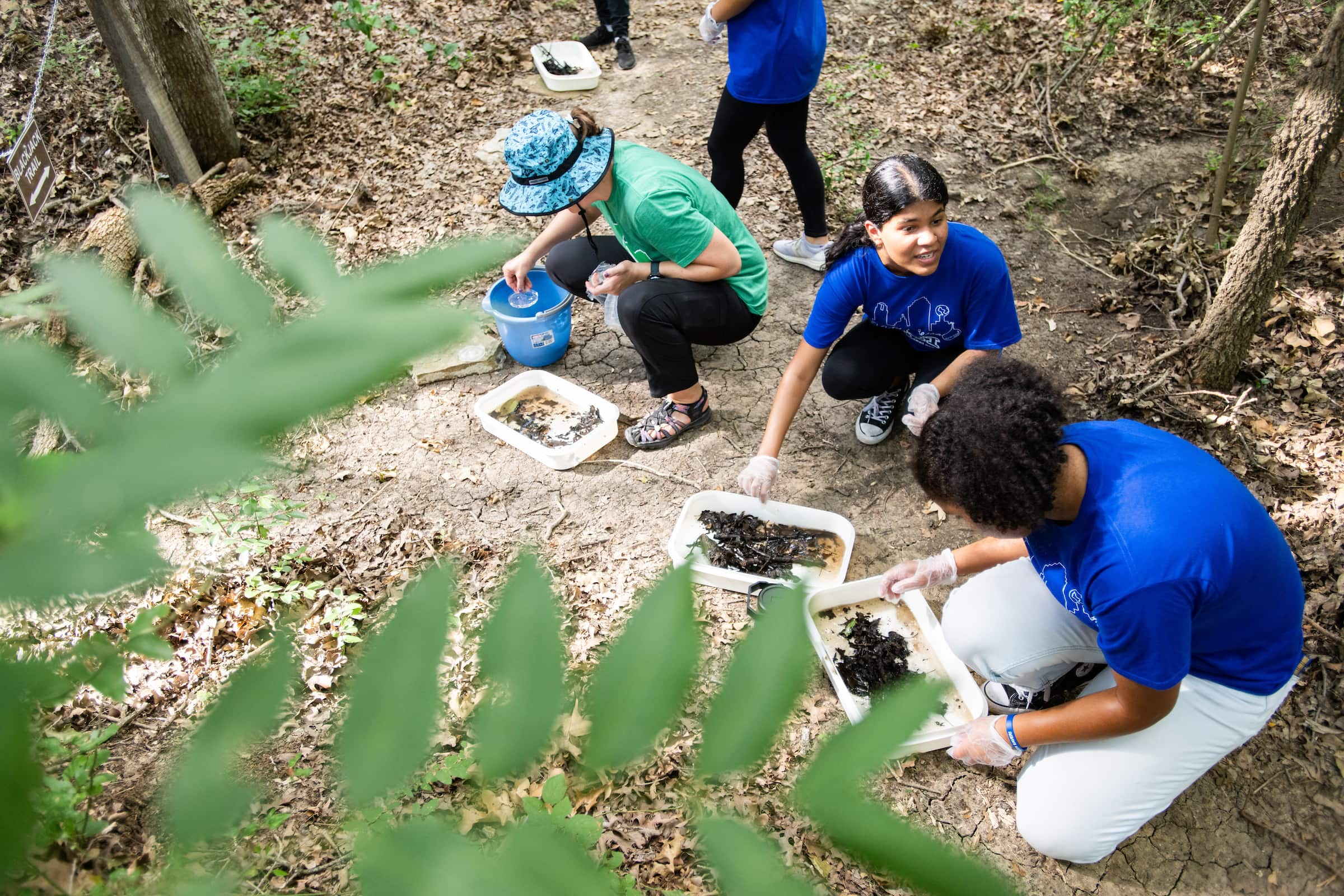 EEI students studying leaf packs at LLELA 