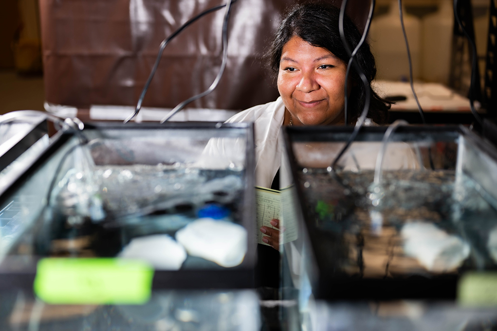 UNT doctoral student Celeste Ortega-Rodriguez conducting research in the lab