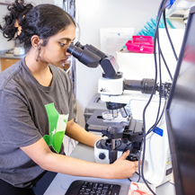 UNT TAMS high-school-aged students get on track