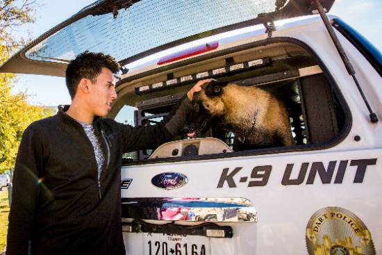 A Student Pets a Police Dog at a UNT Dallas Campus Event 