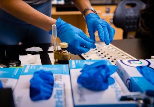 Photo: UNT Dallas Biology Lab Where Conner Hestor and Classmates Conduced Research Experiments