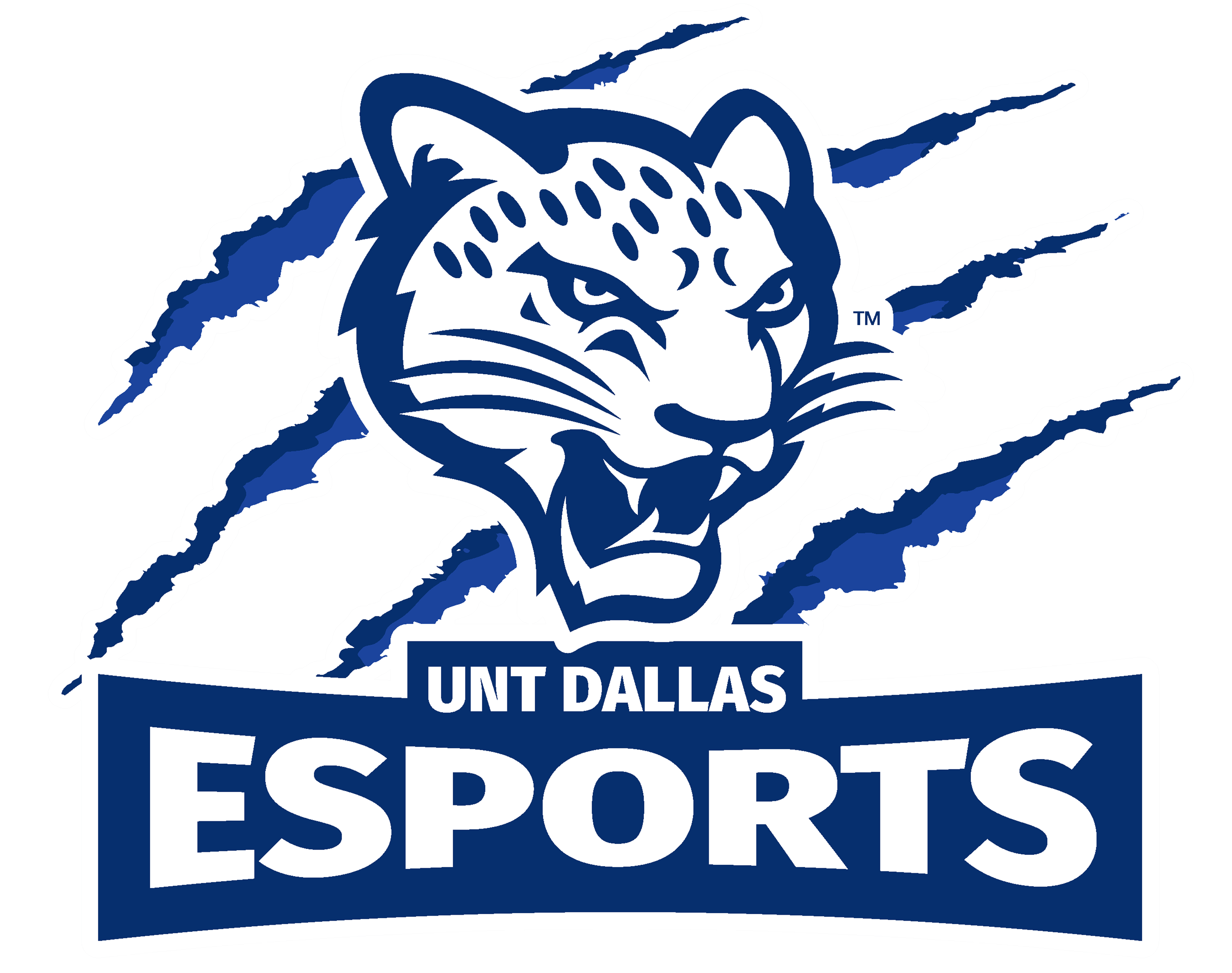 UNT Dallas Esports